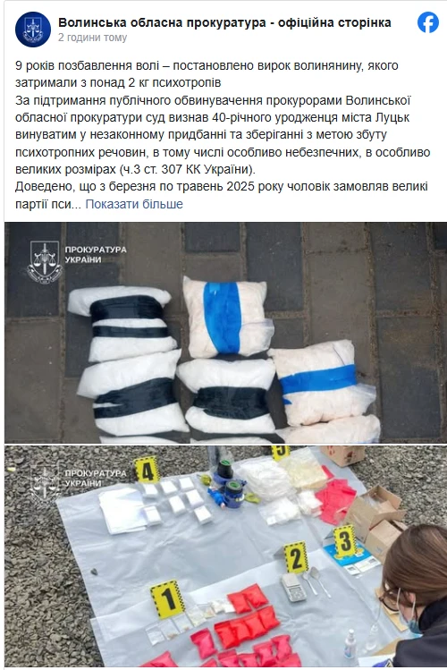 Вилучили понад 2 кг психотропів: лучанина засудили на 9 років