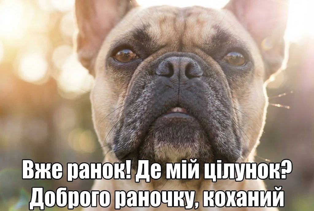 Доброго раночку, коханий: найтепліші листівки та душевні побажання для гарного початку дня