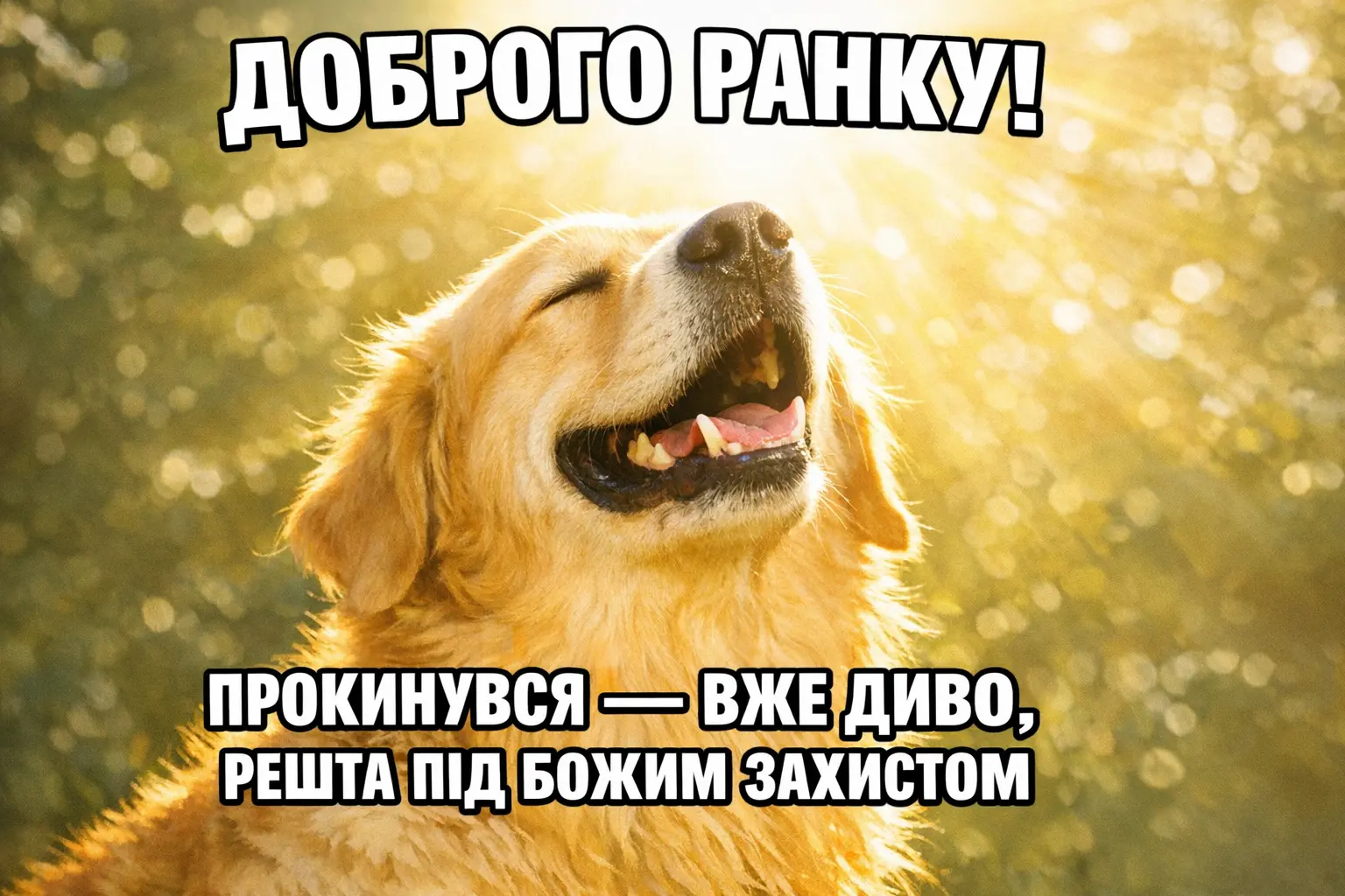 Доброго ранку та Божого захисту: душевні картинки й найтепліші побажання для мирного дня