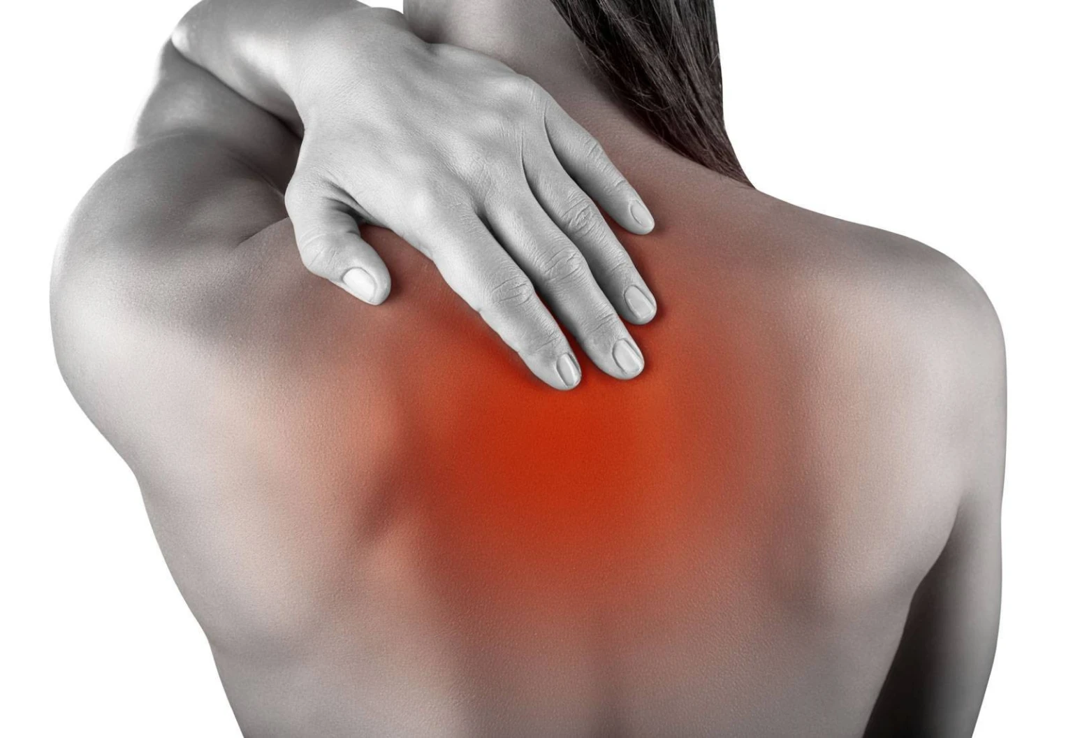 bol-v-spine
