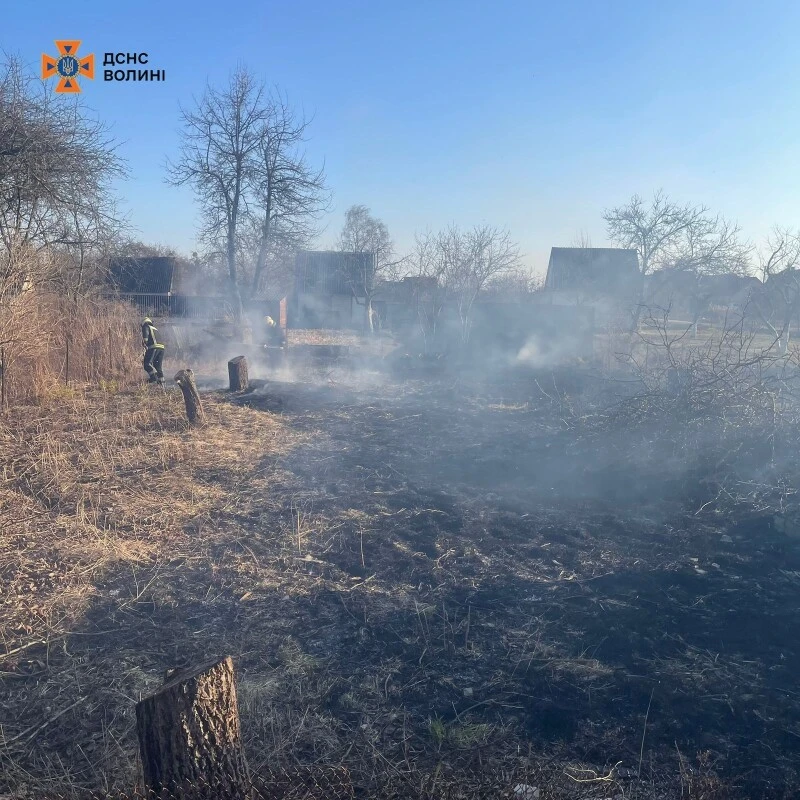 Штрафи та рейди: як на Волині борються з паліями сухої трави