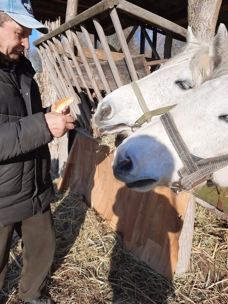 На Волині відродили давній обряд випікання обрядових «хрестів»