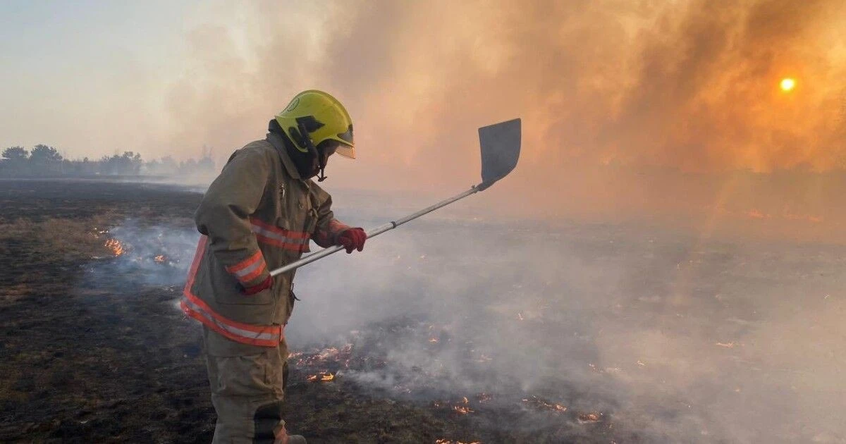Волинь у вогні: сім масштабних екопожеж за одну добу