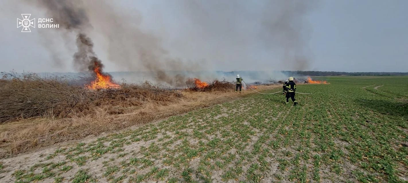 Волинь у вогні: за добу стихія знищила 8 гектарів екосистем через людський фактор