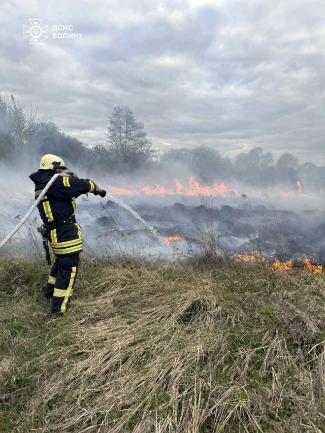 Волинь у вогні: за добу рятувальники загасили 13 масштабних пожеж в екосистемах