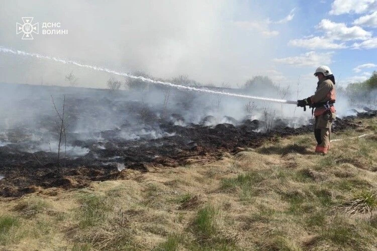 Масштабні пожежі в екосистемах Волині: вогонь охопив 5 гектарів